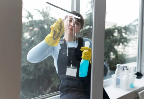 Nettoyage de vitres intérieures et extérieures à Sainte-Marie-de-Gosse
